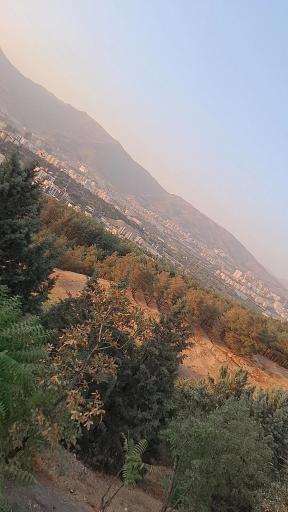 بام شیان