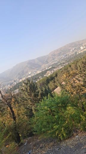 عکس بام شیان