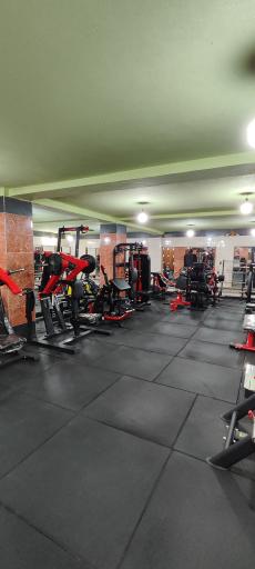 عکس باشگاه دراگونز