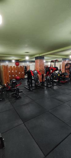 عکس باشگاه دراگونز
