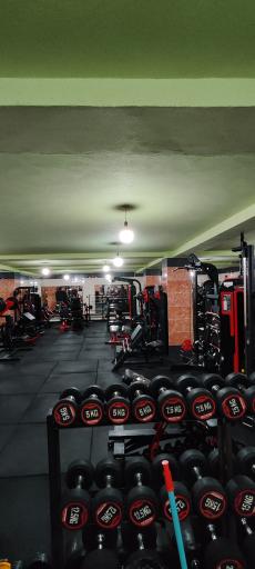 عکس باشگاه دراگونز