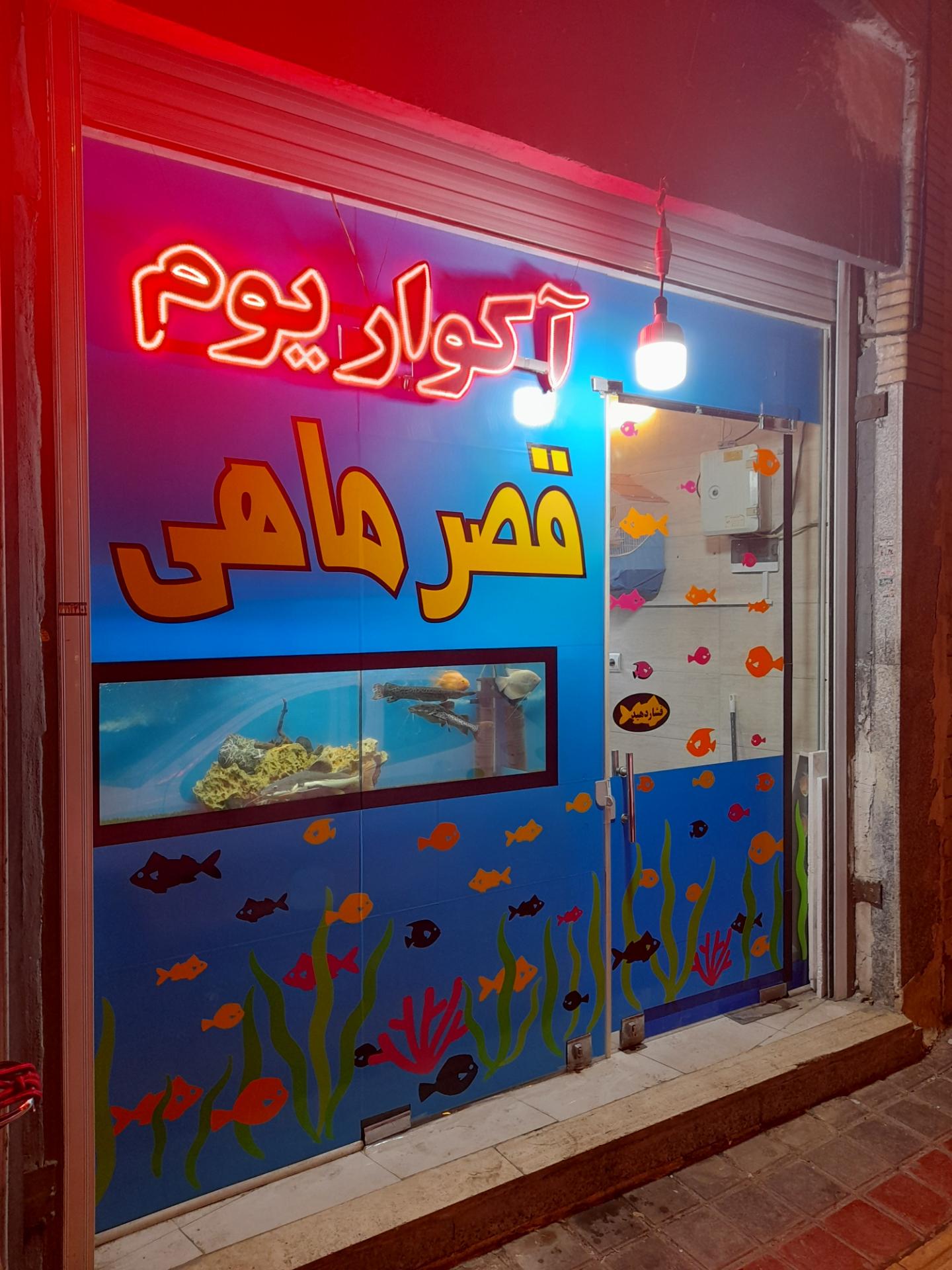 عکس آکواریوم قصر ماهی