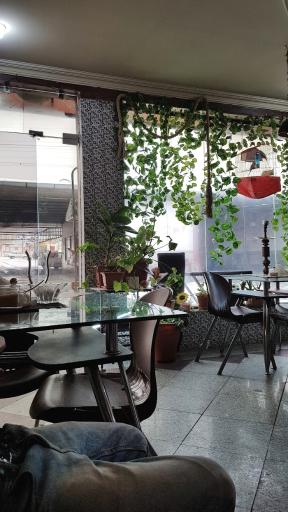 عکس کارواش بزرگ پونک