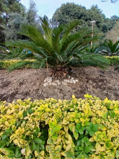 عکس پارک شهر