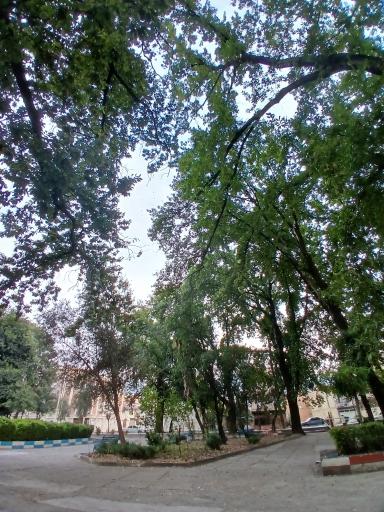 عکس پارک شهر