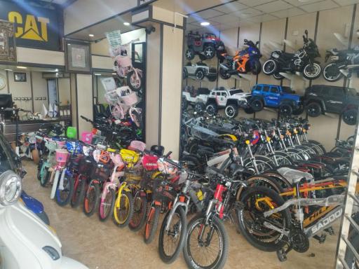 نمایندگی موتور سیکلت بلوردی 