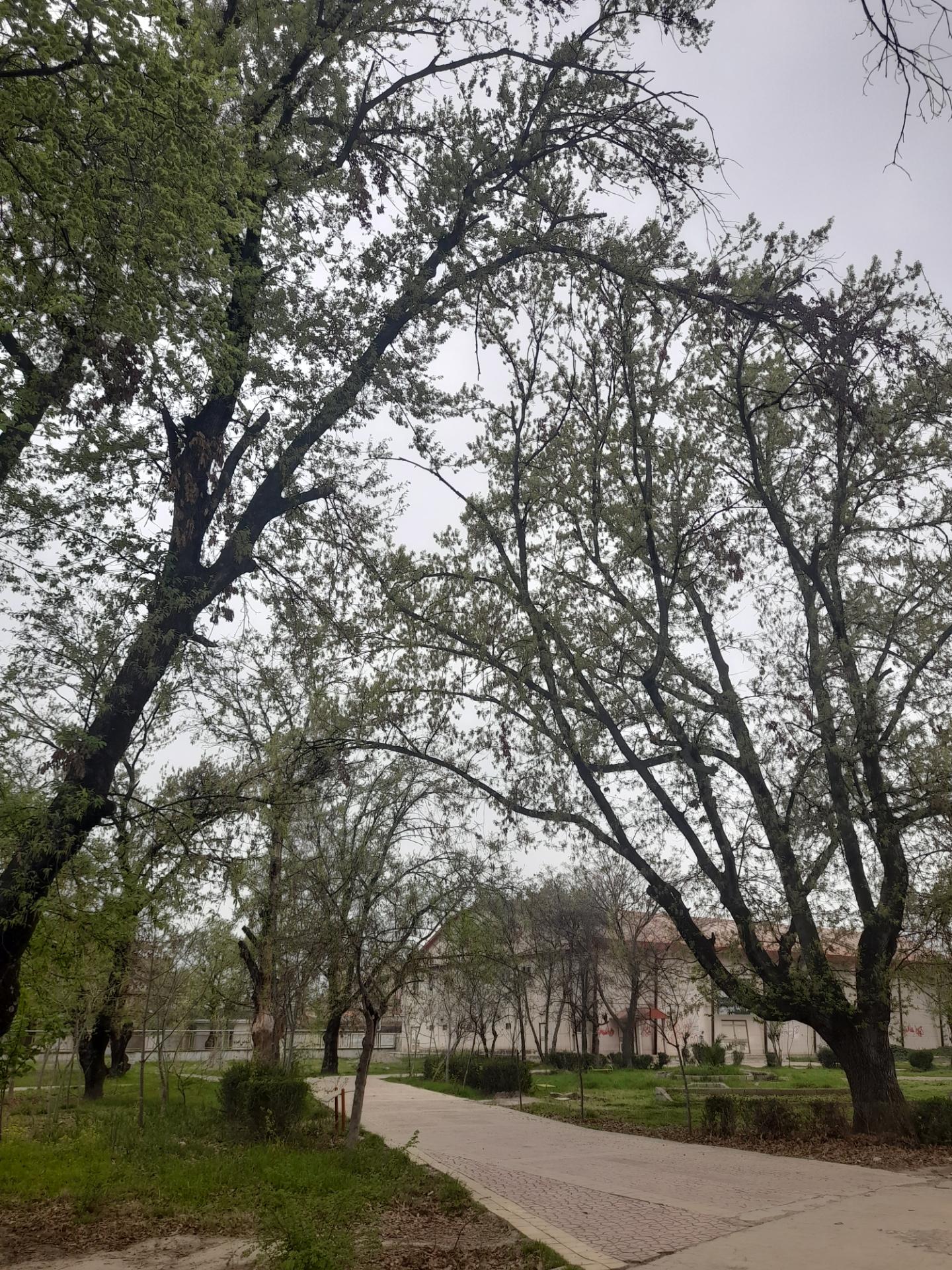 عکس پارک شهر