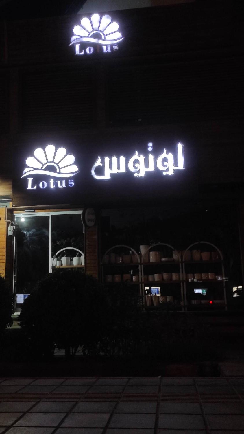 عکس گل لوتوس