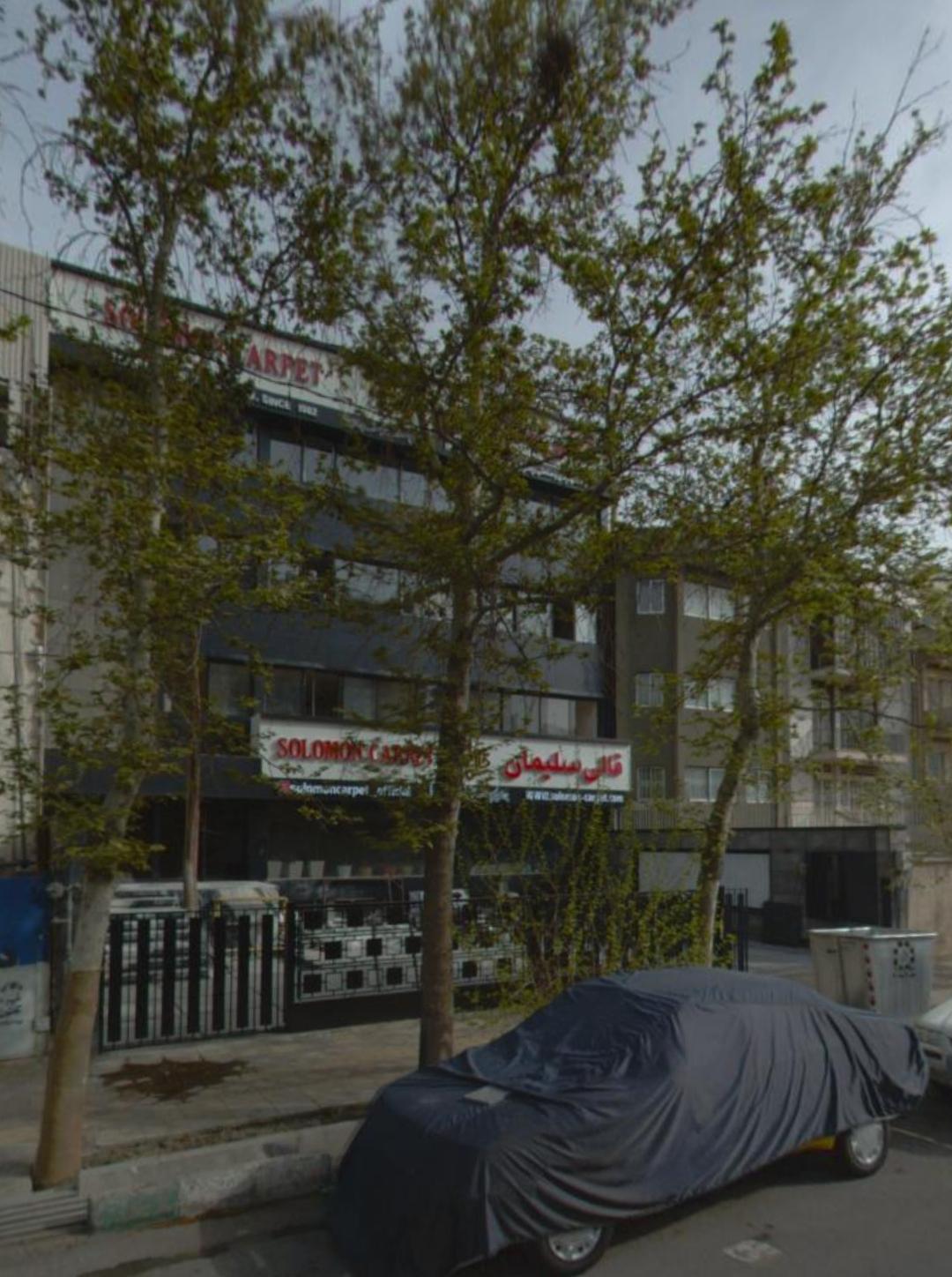 عکس قالی سلیمان