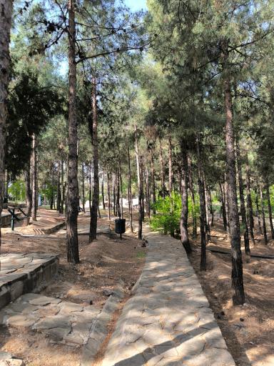 عکس بوستان کوهستانی نور