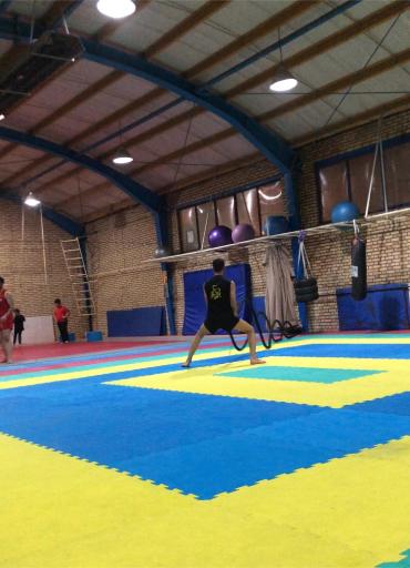 عکس باشگاه فرهنگی ورزشی انصار