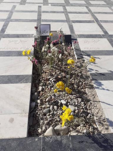 عکس مزار ناصر تقوایی
