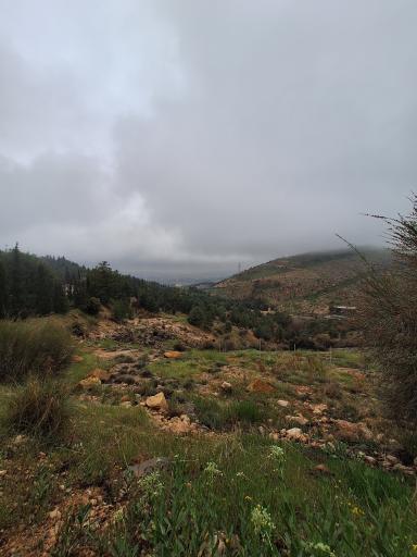 عکس بوستان کوهستانی نور