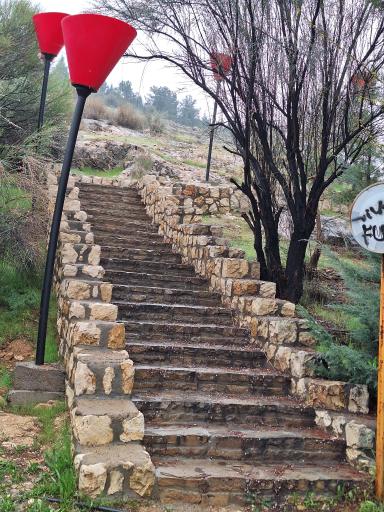 عکس بوستان کوهستانی نور