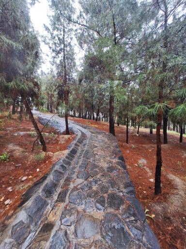 عکس بوستان کوهستانی نور
