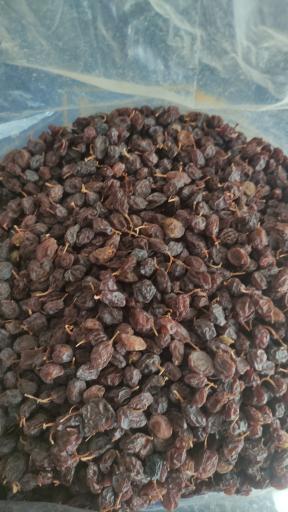 عکس خشکباری کشمش و مویز دهقان