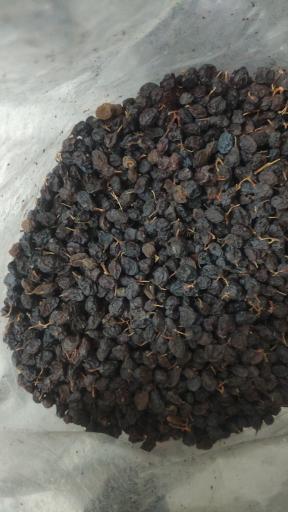 عکس خشکباری کشمش و مویز دهقان