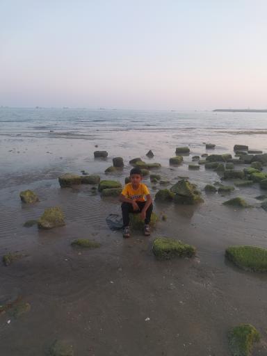 عکس اسکله بندر لنگه 