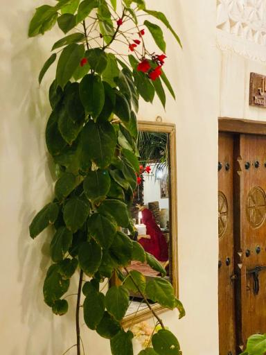 عکس اقامتگاه بومگردی مَهرَه سرا