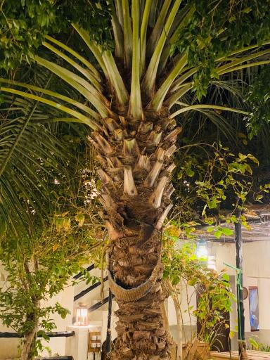 عکس اقامتگاه بومگردی مَهرَه سرا