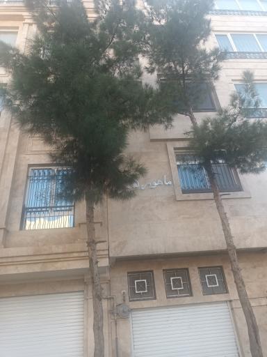 عکس ساختمان ماهور ۵