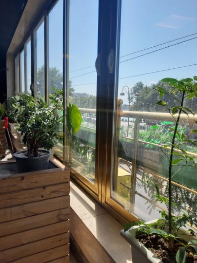 عکس کافه رستوران جانا