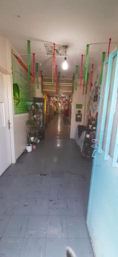 عکس دبستان غیردولتی جوانه‌های مس سرچشمه