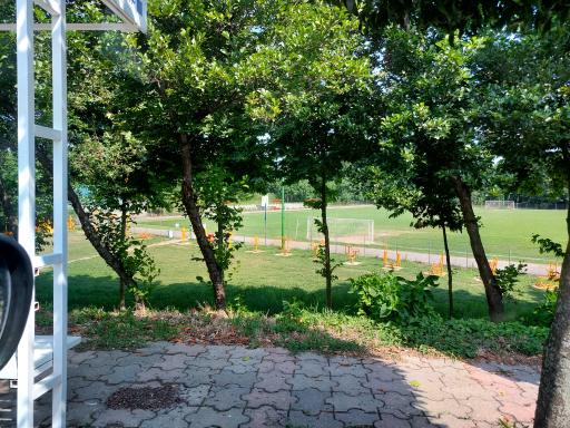 عکس زمین فوتبال اسبچین