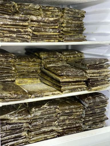 عکس ارگانیک شاپ اصفهان