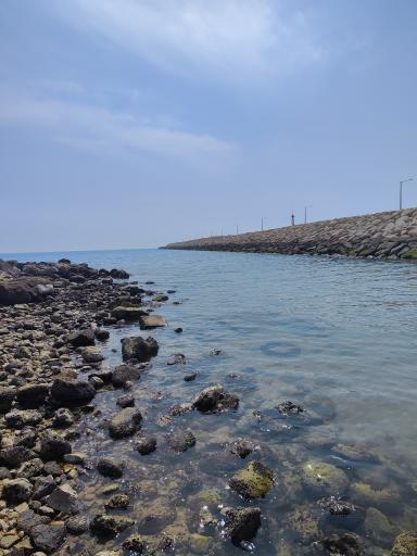 عکس بندر کنگان