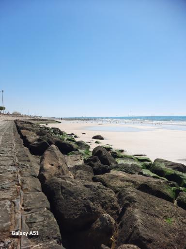 عکس بندر کنگان