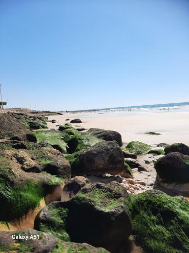 عکس بندر کنگان