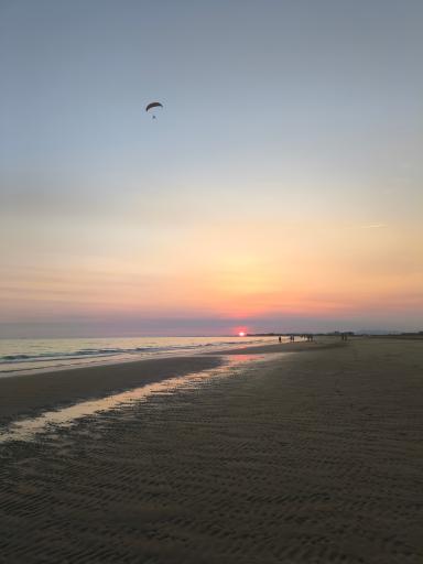 عکس بندر کنگان