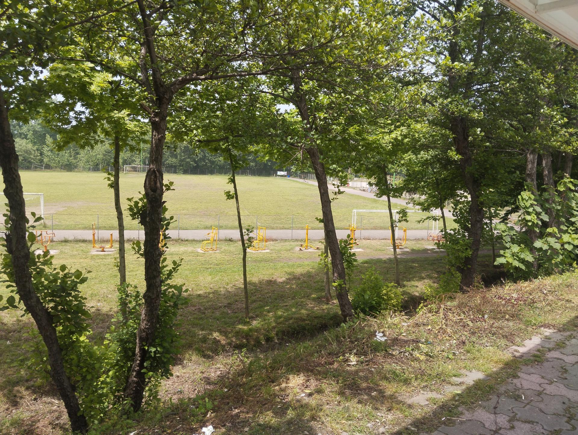 عکس زمین فوتبال اسبچین