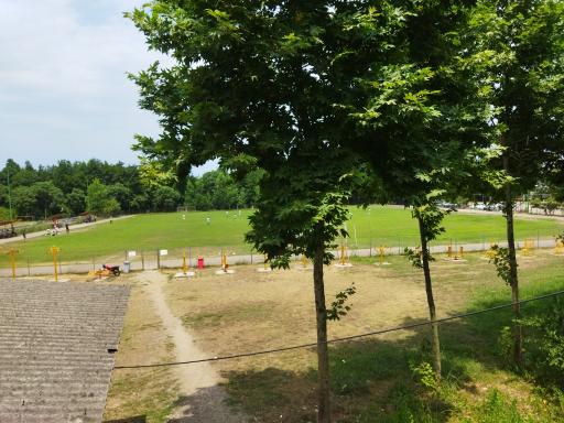 عکس زمین فوتبال اسبچین