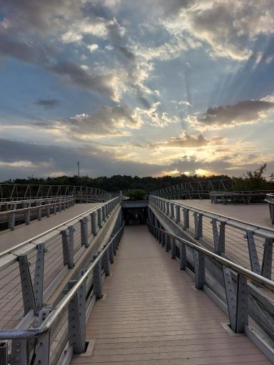 عکس پل طبیعت ضلع پارک آب و آتش