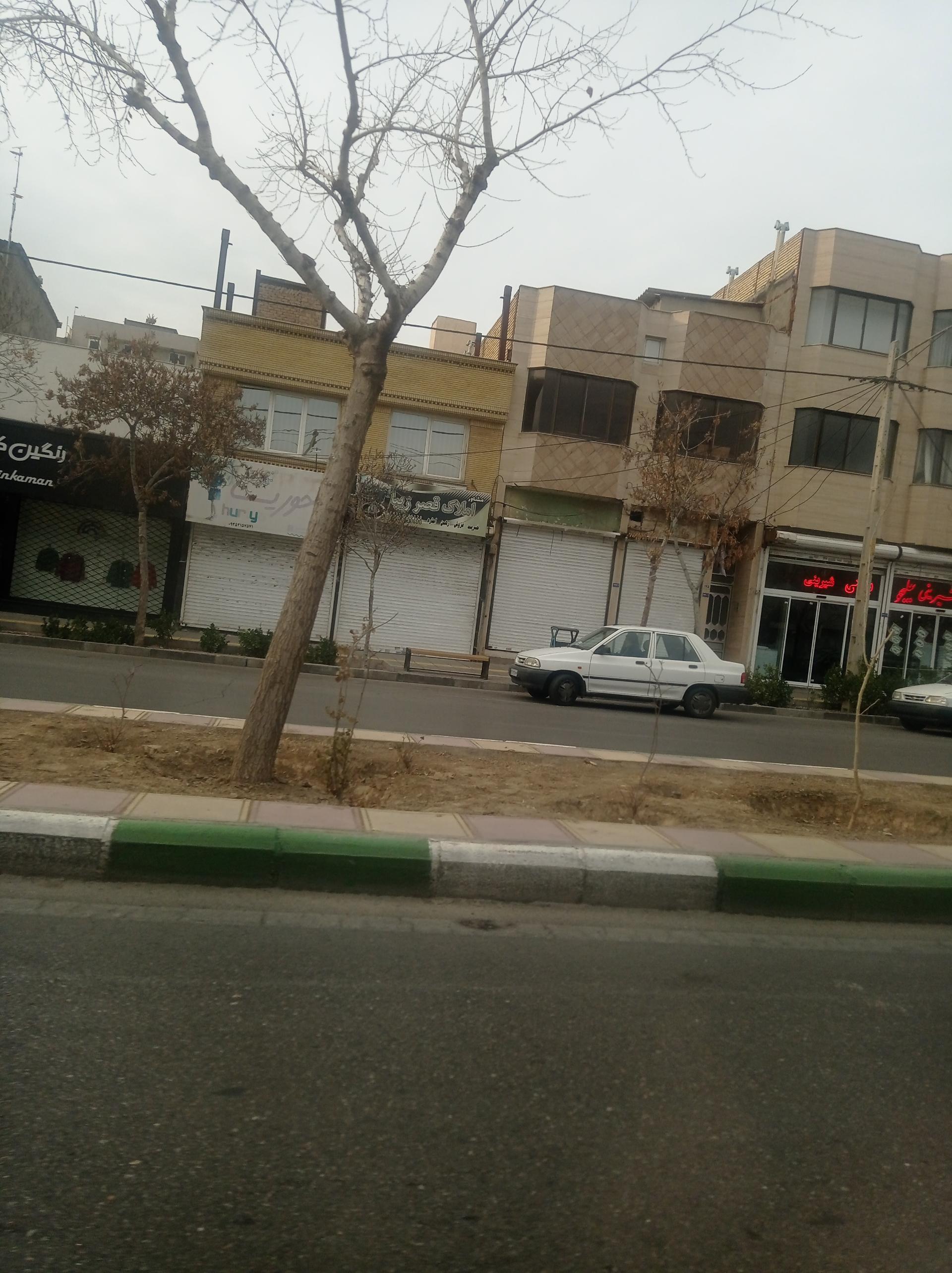 عکس شیرینی علیجو