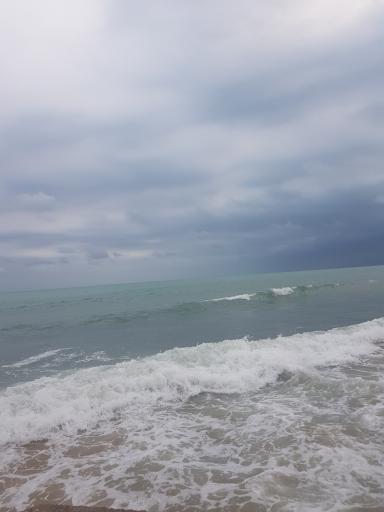 عکس بندر کنگان