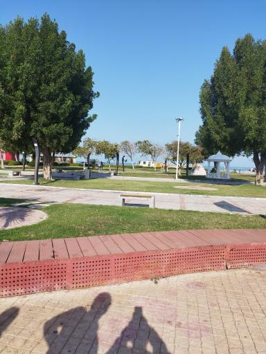 عکس بندر کنگان