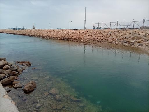عکس بندر کنگان