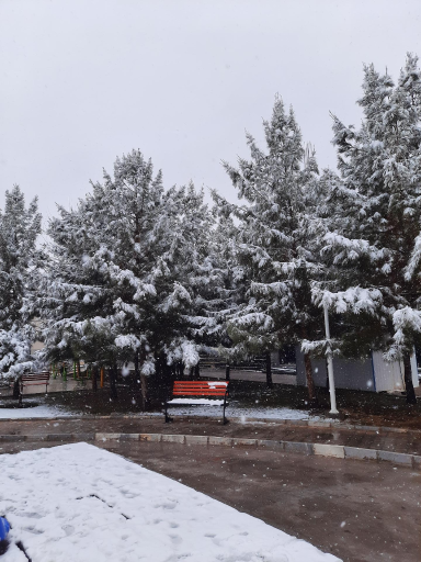 بوستان میثاق