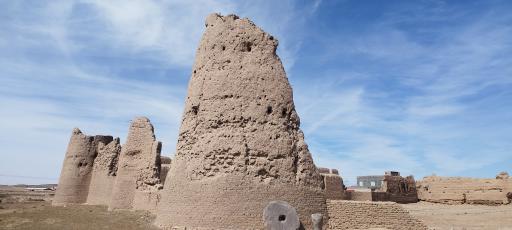 عکس قلعه تاریخی آرین شهر