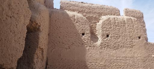 عکس قلعه تاریخی آرین شهر