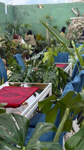 کافه گل داربو