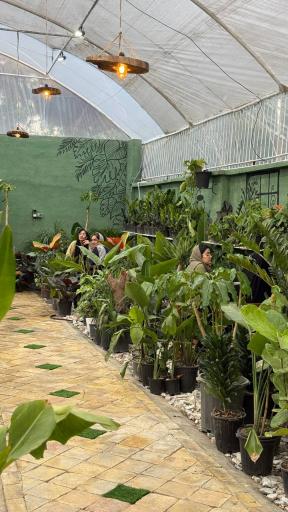 کافه گل داربو