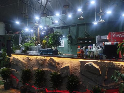 کافه گل داربو