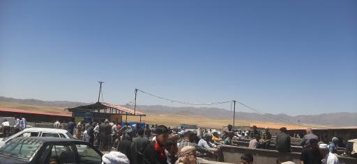 عکس بازار بزرگ دام سبک شهرستان باخرز