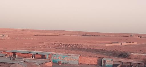 عکس بازار بزرگ دام سبک شهرستان باخرز