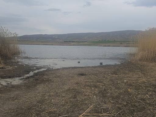 عکس دریاچه هفت برم