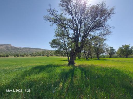 عکس دریاچه هفت برم